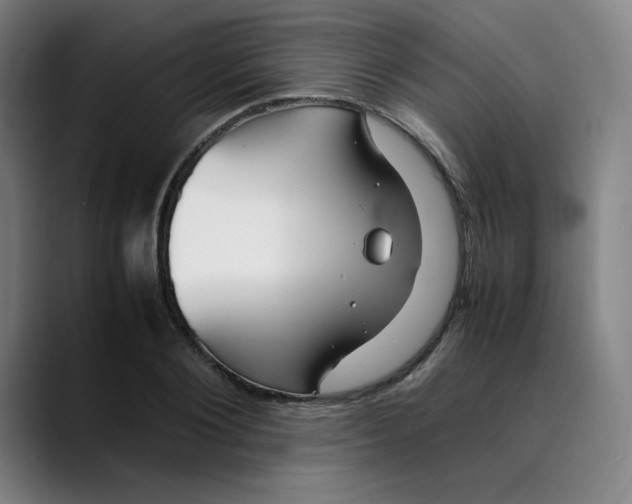 X0000089350884200707131529