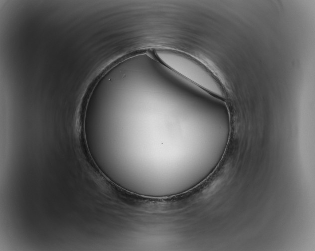 X0000089350885200707131529
