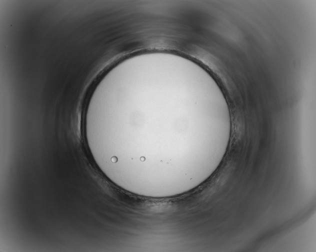 X0000089350886200707131529