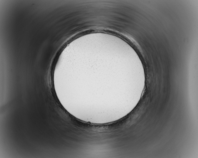 X0000089350887200707131529