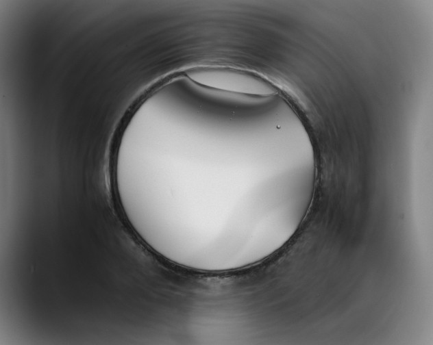 X0000089350888200707131529