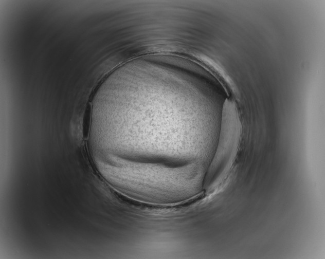 X0000089350889200707131529