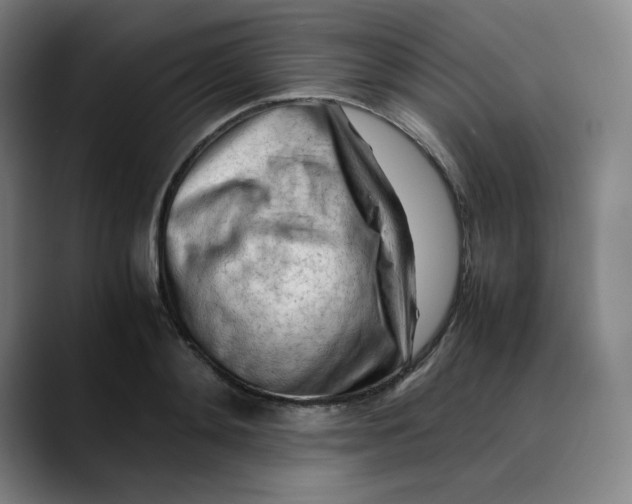 X0000089350892200707131529