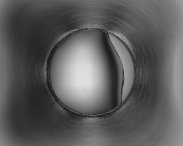 X0000089350894200707131529