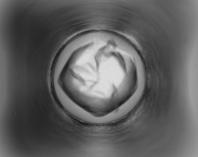 X0000089350895200707131529