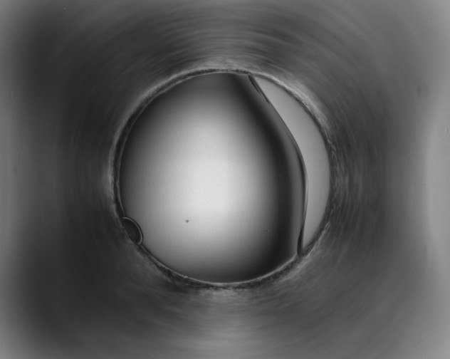 X0000089350896200707131529