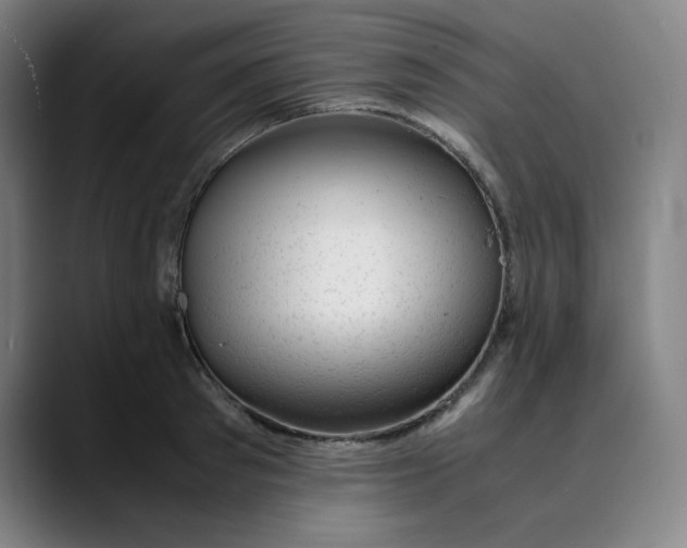 X0000089350897200707131529
