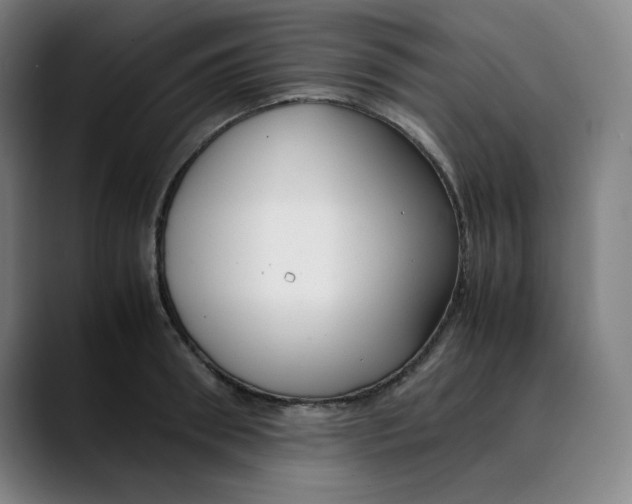 X0000089350898200707131529
