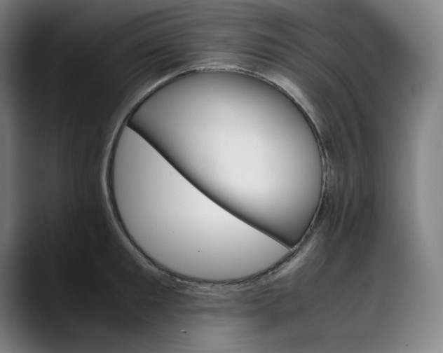 X0000089350901200707131529