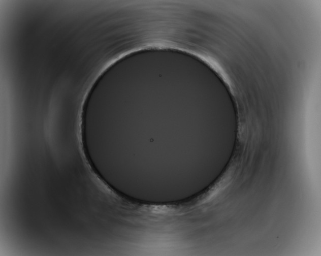 X0000089350903200707131529