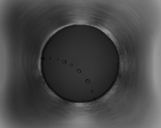 X0000089350904200707131529