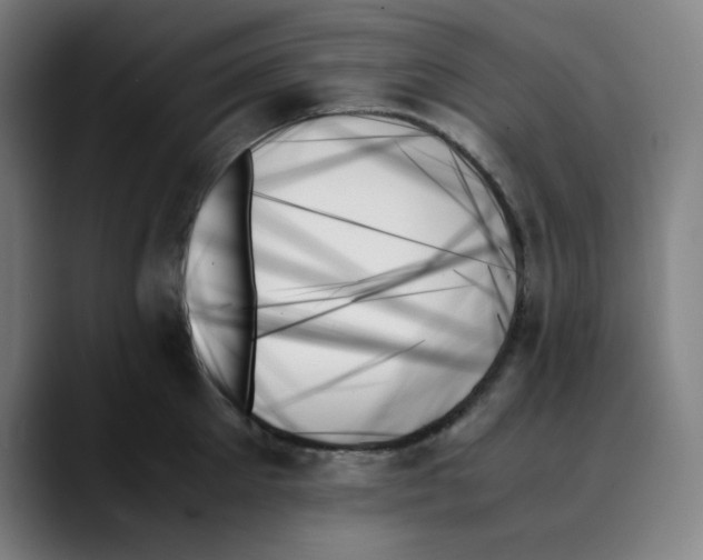 X0000089350905200707131529