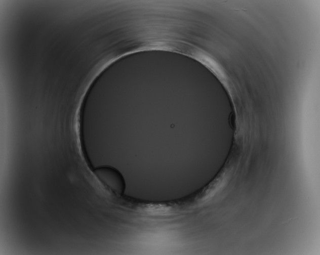 X0000089350907200707131529