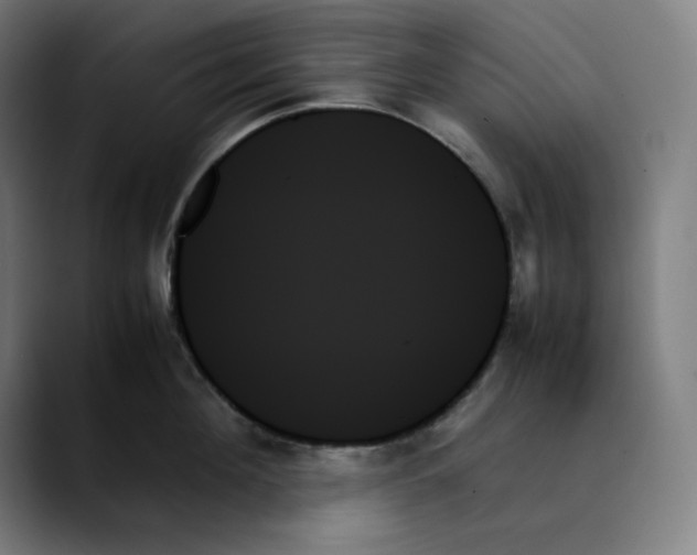 X0000089350908200707131529