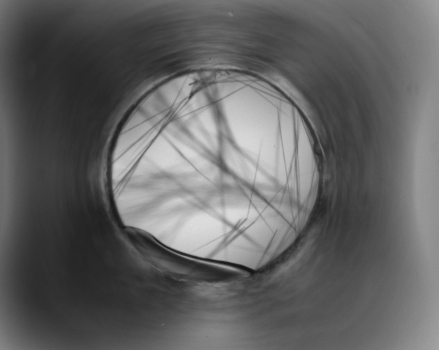X0000089350909200707131529