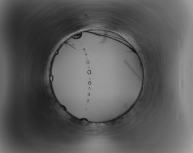 X0000089350912200707131529