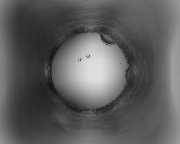 X0000089350914200707131528