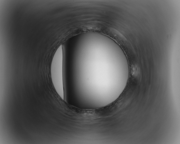 X0000089350915200707131528