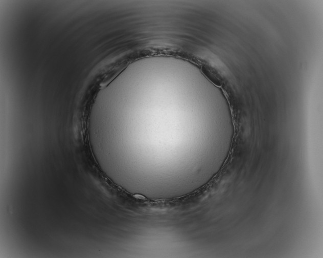 X0000089350920200707131528