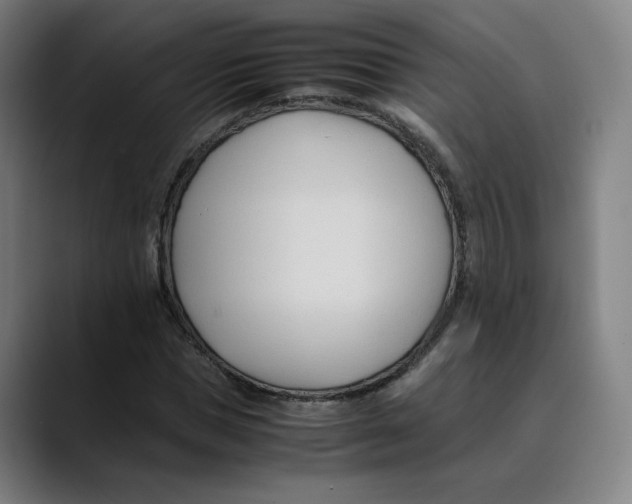 X0000089350921200707131528
