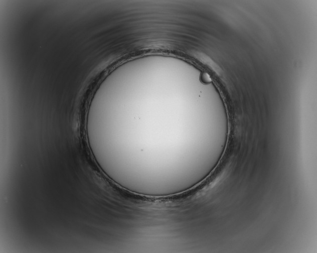 X0000089350922200707131528