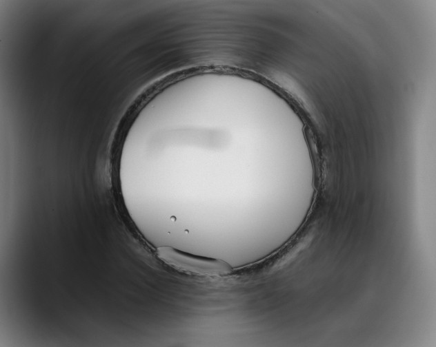 X0000089350924200707131528