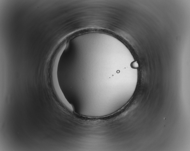 X0000089350926200707131528