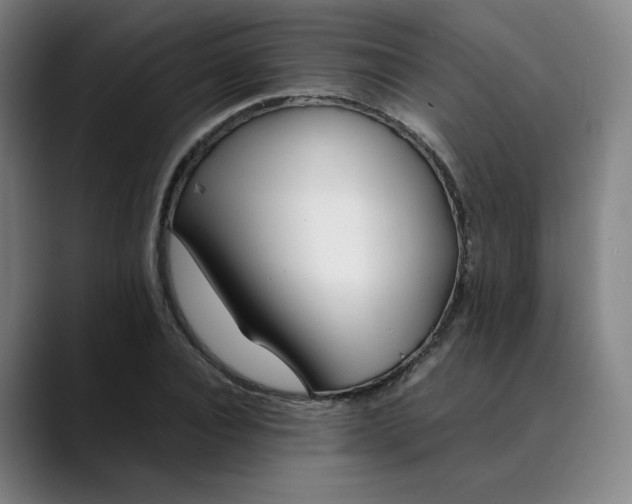 X0000089350928200707131528