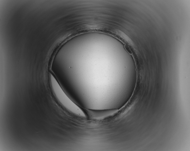 X0000089350930200707131528