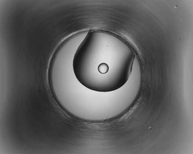 X0000089350932200707131528