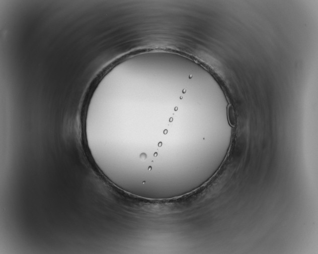 X0000089350936200707131528