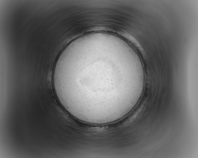 X0000089350937200707131528