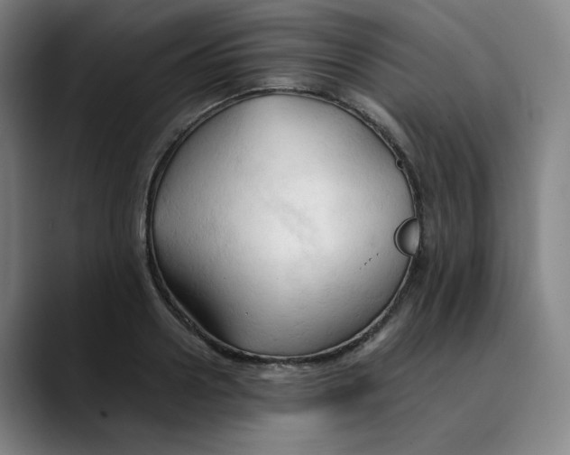 X0000089350938200707131528