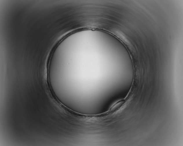 X0000089350940200707131528