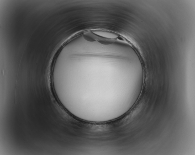 X0000089350941200707131528