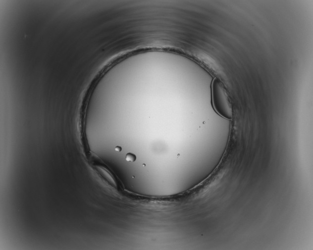 X0000089350942200707131528