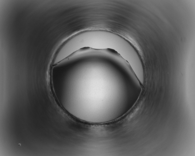 X0000089350944200707131528