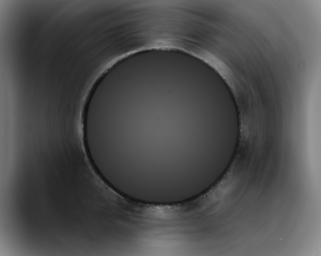 X0000089350950200707131528