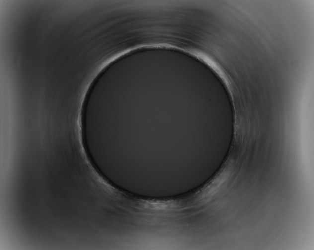 X0000089350951200707131529