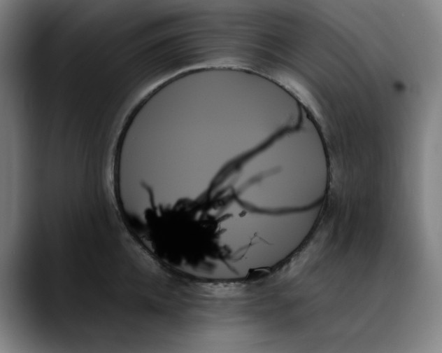 X0000089350952200707131529