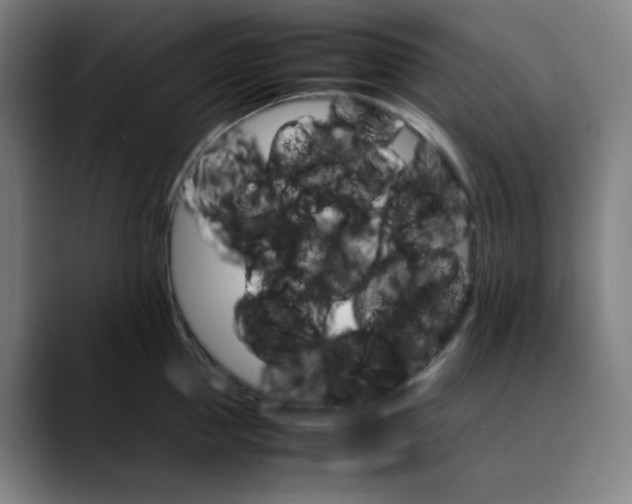 X0000089350953200707131529