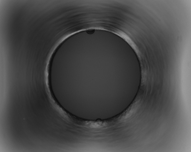 X0000089350955200707131529