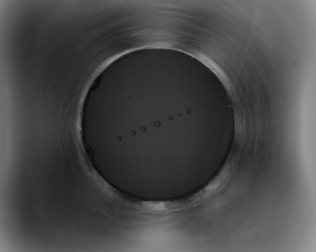 X0000089350956200707131529