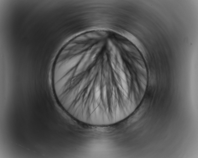 X0000089350958200707131529