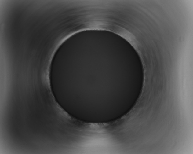X0000089350960200707131529