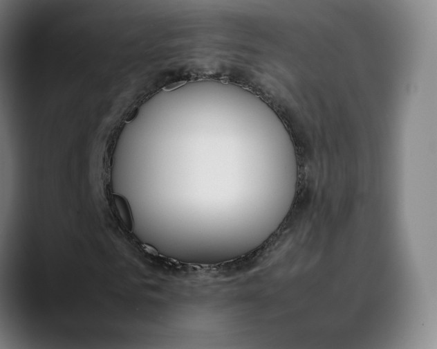 X0000089350961200707131528
