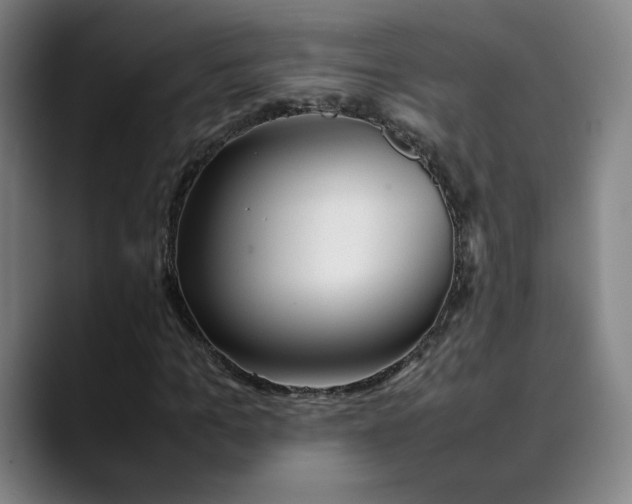 X0000089350965200707131528