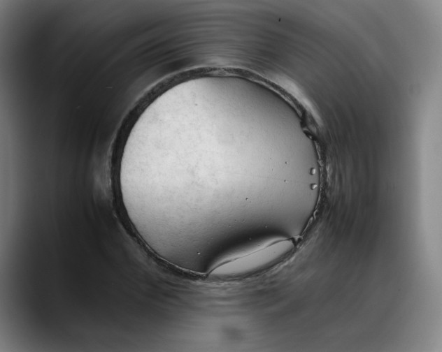 X0000089350972200707131528