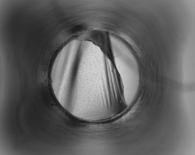 X0000089350977200707131528