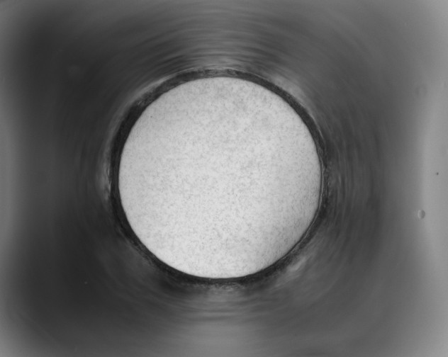 X0000089350979200707131528